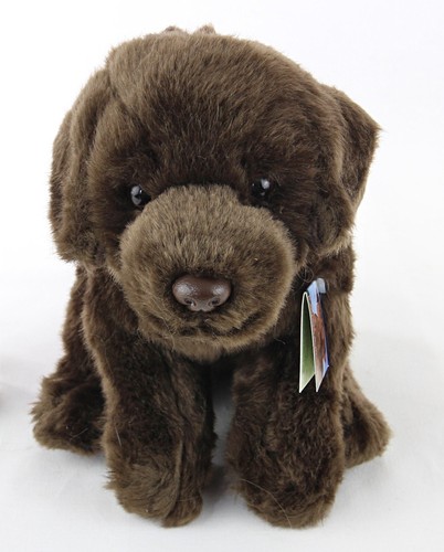 Chocolate labrador plush soft - chocolate,
