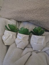 3x Owl Ornaments Owl Plant