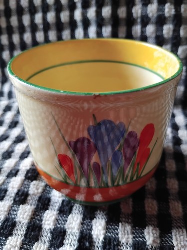 Clarice cliff crocus - crocus, fern