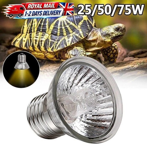 3pc reptile light bulb heat - 3pc,