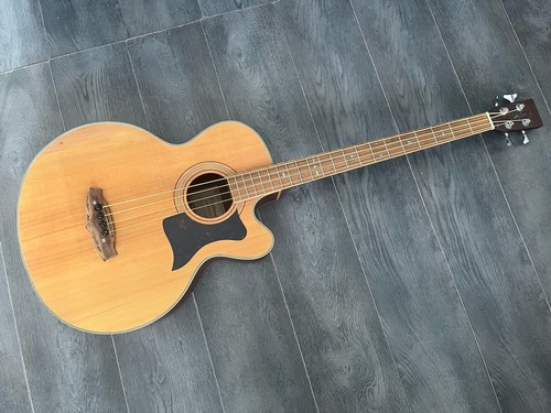Tanglewood acoustic bass - acoustic,
