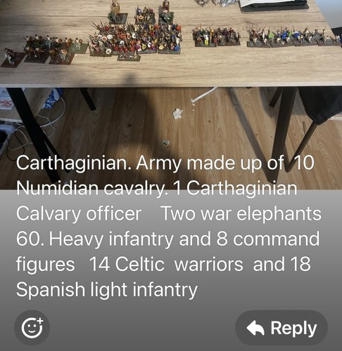 Carthaginian army painted - carthaginian,