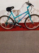 Rincon Giant Mountain Bike