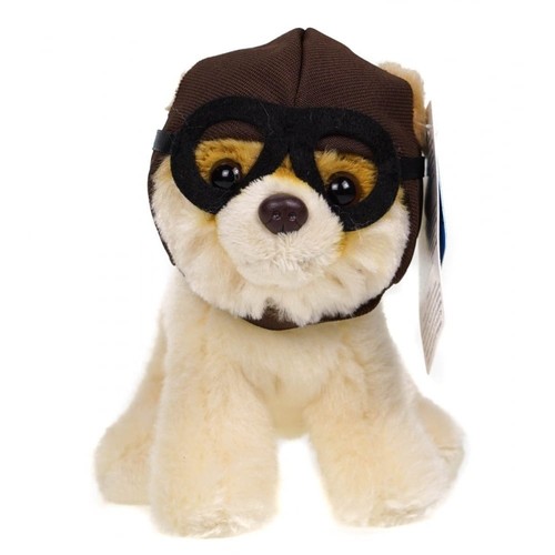 Boo the world - world's, cutest