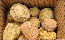 10 LARGE Break / Crack Your