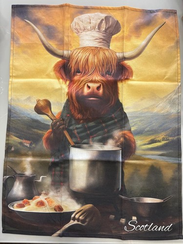 Scottish highland cow - scottish,