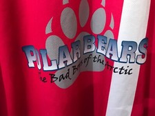 Rare polar bears rugby jersey - rare,