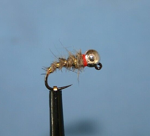 Jig walt worm special nymph - walt's,