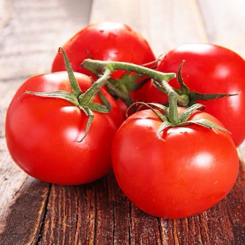 Early red tomato - red,