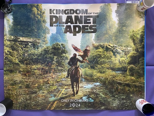 Kingdom the planet - the,