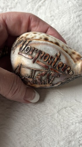 Ww1 trench art tiger cowrie - trench,