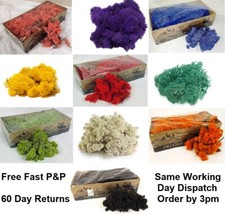 Reindeer Moss - Preserved Moss - Dried Natural Moss - Wreath, Wall, Craft moss