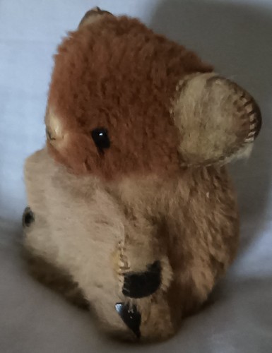 Vintage australian cute - vintage, koala