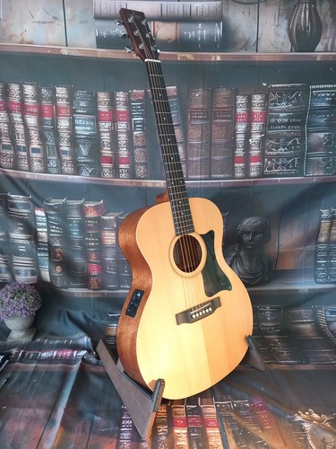 Sigma gme electro acoustic - electro,