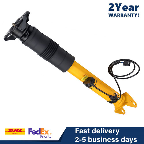 Rear left shock absorber - absorber, strut