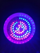 Visage Flat Back P56 RGBW LEDJ