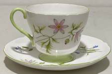 Shelley Wild Anemone 13977 Tea