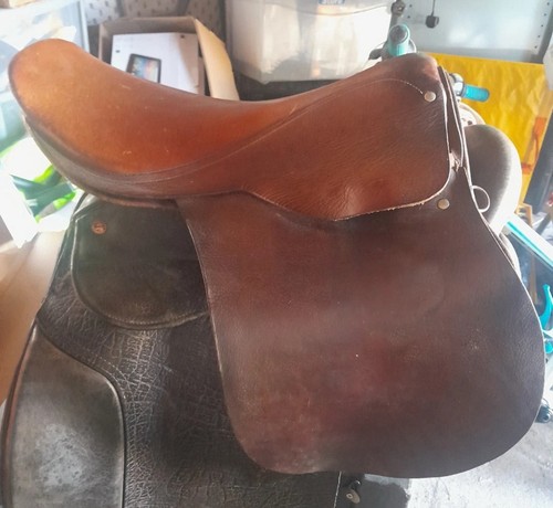 English leather pony - english,