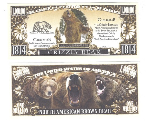 Dollar grizzly bear grittly - bear,,