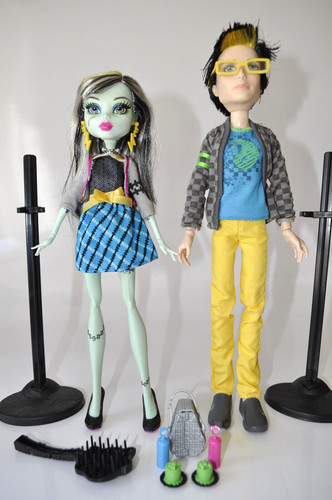 Monster high picnic - picnic, casket