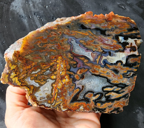 Large plume - oz, (839