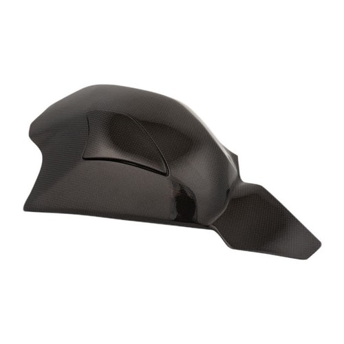 Carbon swingarm protectors - carbon,