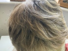 RAQUEL WELCH LARGE LADIES WIG, GOLDEN WHEAT  COLOUR WITH HIGHLIGHTS LAYERS SHORT