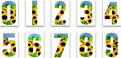 Wheelie bin decal sunflower - sunflower, 7"