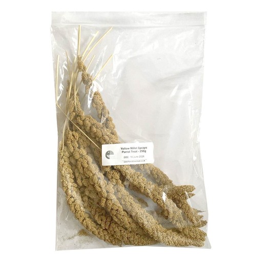 Large yellow millet - large, sprays