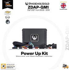 Phoenix Gold ZDAP-GM1 DSP Amp