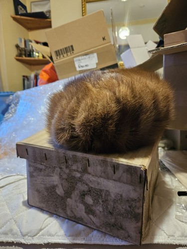 Vintage fur hat boutique - fur, hat.