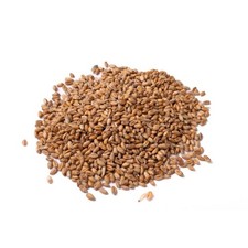 Premium British Wheat Grain |