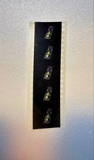 Lelouch of the Resurrection