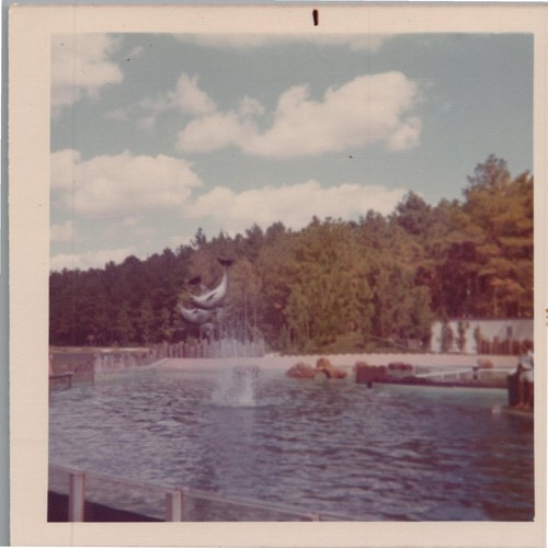 Dolphin fountain 1974 snapshot - fountain,