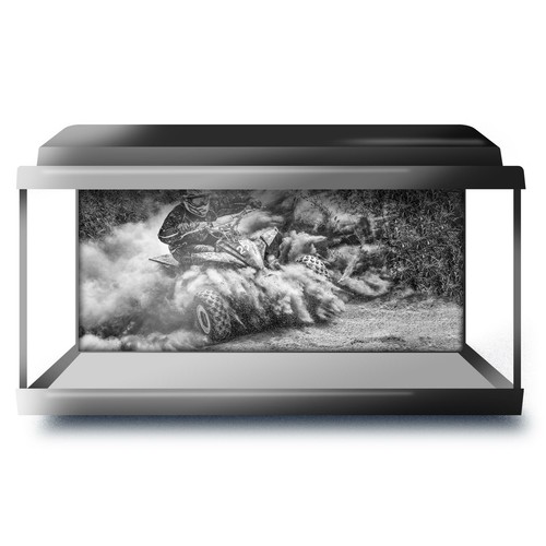 Fish tank background - fish, 90x45cm
