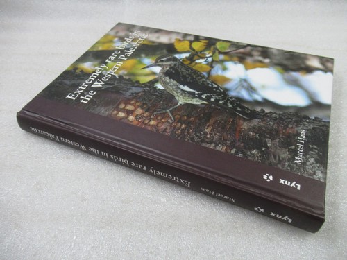 Extremely rare birds - extremely, the