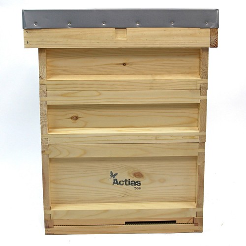 National bee hive - bee,