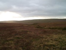 Photo 6x4 The head of