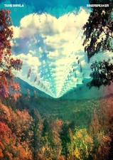 Tame Impala Innerspeaker A3 A4