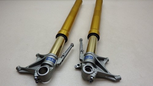 Monster 1200s ohlins - ohlins, front