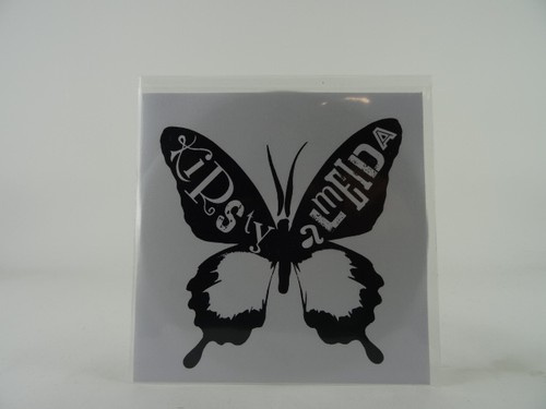 Kirsty almeida spider - almeida,