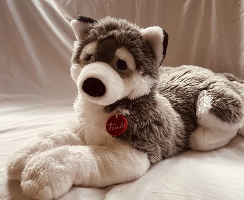 Big trudi wolf husky - wolf,