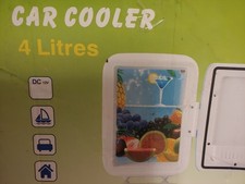 4L Mini Fridge Portable 12