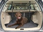 Heavy duty pet - heavy, car