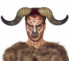 Buffalo Bull HORNS Steer Horn