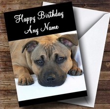 Staffordshire Bull Terrier Dog Personalised Birthday Greetings Card