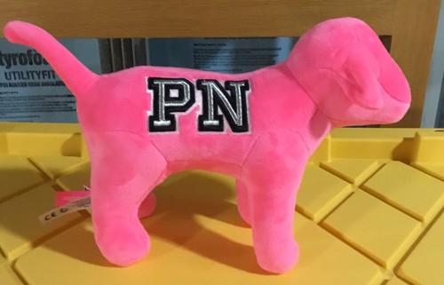 Victoria secret pink - secret,