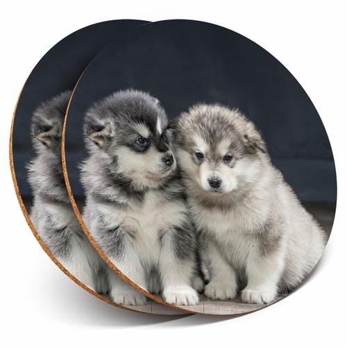 Coasters alaskan - coasters,