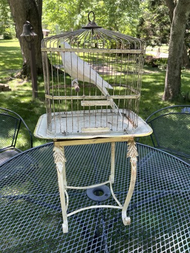 Vintage hendryx bird cage - cage, on