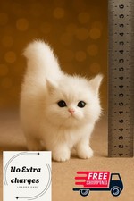 Kitten Cat 5 Inch Stuffed